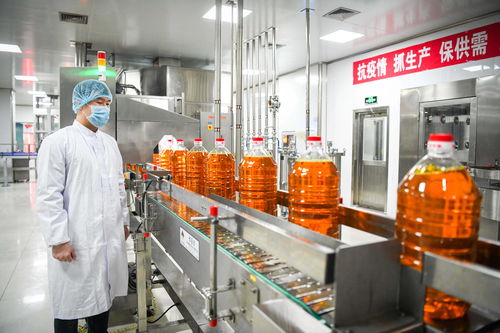 在高水平開放中邁向振興 外資加大投資東北現(xiàn)象觀察與油脂產(chǎn)業(yè)發(fā)展新機遇